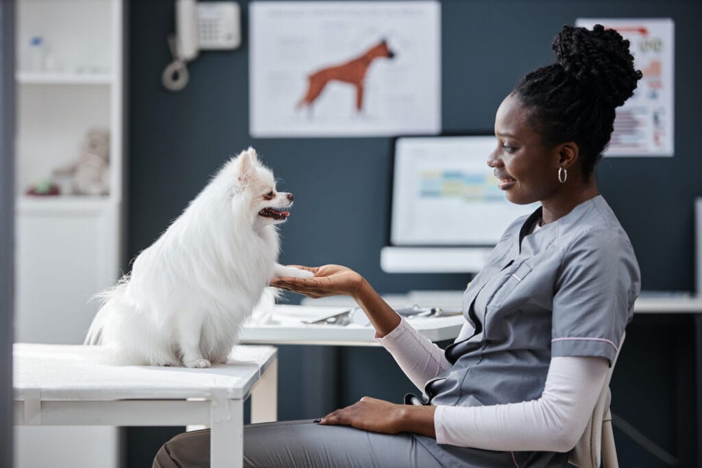 Pet Groomer Assistant Jobs in Glasgow